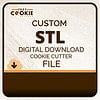 Custom STL File